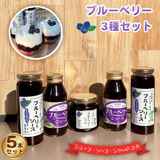 ブルーベリー加工品フルセット [No.228]
