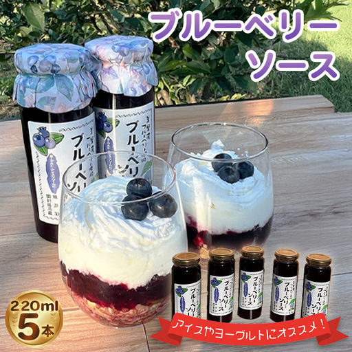 ブルーベリーソース(220ml)5本セット [No.229]