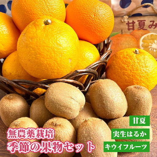 無農薬栽培　季節の果物セット  [No.203]
