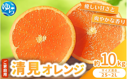 ≪家庭用≫ 清見 オレンジ 10kg / くだもの 甘い きよみ 柑橘 果物 和歌山 ※2027年3月上旬〜3月中旬頃に順次発送 [nktn011-c-10]