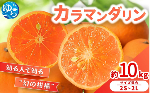 カラマンダリン 10kg / くだもの 甘い みかん 柑橘 果物 和歌山 ※2027年3月下旬〜4月上旬頃に順次発送[nktn015-r-10]