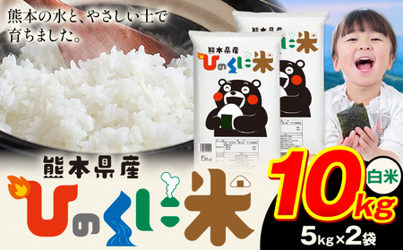 白米 精米 ひのくに米 10kg  《7-14日以内に出荷予定(土日祝除く)》