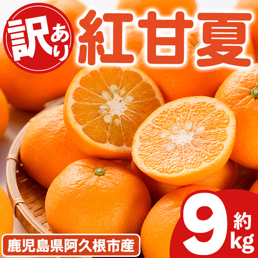 ＜先行予約受付中！2027年2月上旬以降順次発送予定＞ 訳あり！紅甘夏 (約9kg) 国産 紅甘夏 柑橘 果物 フルーツ デザート 果実 期間限定 数量限定 【古田果樹園】akn093-04