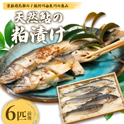 天然鮎の粕漬け 6匹 あゆ 鮎 粕漬け