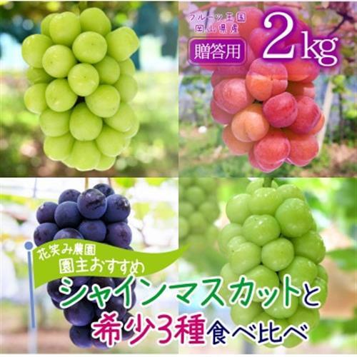 【2027年先行予約】岡山　花笑み農園の『園主おすすめブドウ4種セット』贈答用　2kg　4M-2R上【配送不可地域：離島・北海道・沖縄県】【1626794】