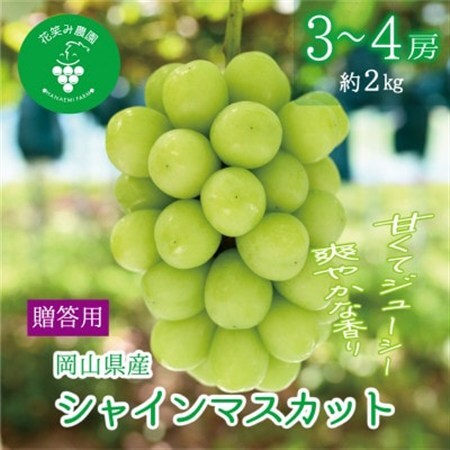 【2026年先行受付】岡山　花笑み農園の『シャインマスカット』贈答用　約2kg(3～4房)　S-2上【配送不可地域：離島・北海道・沖縄県】【1626806】
