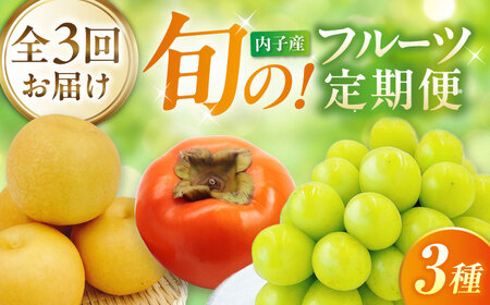 [先行予約][3回定期便]梨・ぶどう・柿 旬のフルーツ定期便 BKAY030 フルーツ