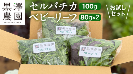セルバチカ (ワイルドルッコラ) 100g と ベビーリーフ (80g × 2パック)