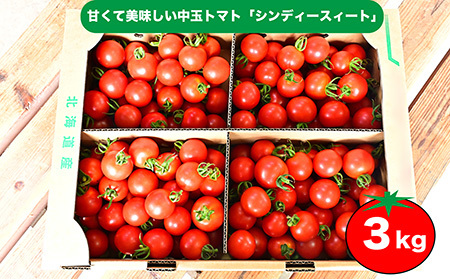 江口農園　シンディースイート　3kg