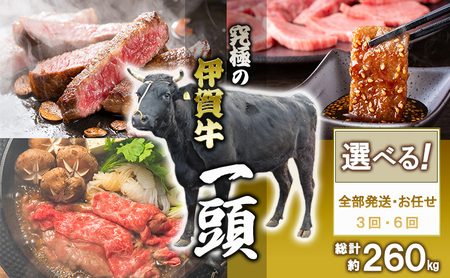 伊賀牛 1頭分 希少 黒毛和種 全部位 伊賀牛
