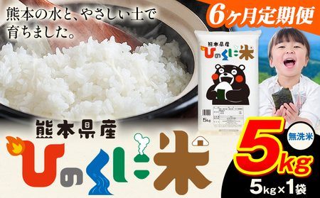【6ヶ月定期便】無洗米 ひのくに米 5kg