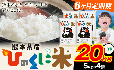 【6ヶ月定期便】白米 ひのくに米 20kg