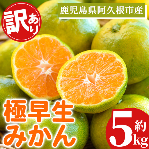 ＜先行予約受付中！2026年9月中旬以降順次発送予定＞ 極早生みかん (約5kg) 国産 みかん 極早生 早生 柑橘 果物 フルーツ デザート 果実 期間限定 数量限定 【古田果樹園】 akn093-06