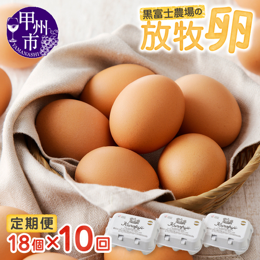 甲州放牧卵の定期便 18個×10回　F-503【卵 たまご 放牧卵 定期便】