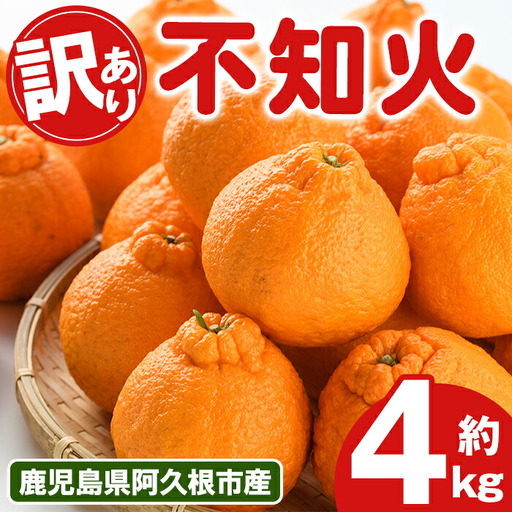[先行予約受付中!2027年3月上旬以降順次発送予定] 訳あり!露地栽培の不知火(4kg) 国産 不知火 しらぬい 柑橘 果物 フルーツ デザート 露地 果実 期間限定 数量限定 [古田果樹園]akn093-03