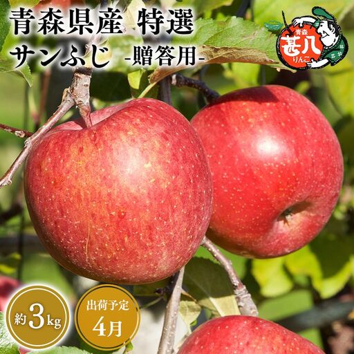 りんご 特選 サンふじ 3kg [hi-0058-052-4]