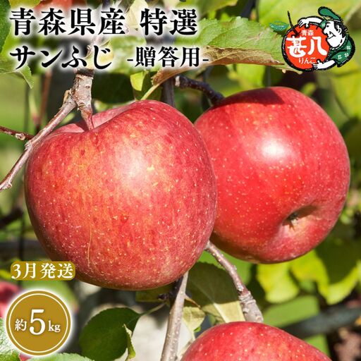 りんご サンふじ 特選 5kg　【青森県 平川市 マルジンサンアップル】 りんご