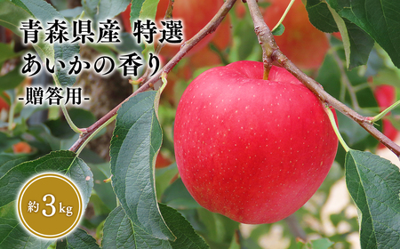 11月発送 特選 甚八りんごあいかの香り3kg [青森県 平川市 マルジンサンアップル] [hi-0058-064-11]