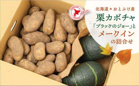 [先行受付] 北海道おとふけ産 栗カボチャ「ブラックのジョー」・じゃがいも「メークイン」の詰め合わせ【B74】《2026年10月下旬より発送開始予定》