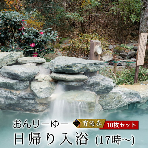 おんりーゆー 日帰り入浴(17時～) 宵湯券 10枚セット【温泉 サウナ お風呂 結婚記念日 敬老の日 ギフト プレゼント 利用券 神奈川県 南足柄市 】
