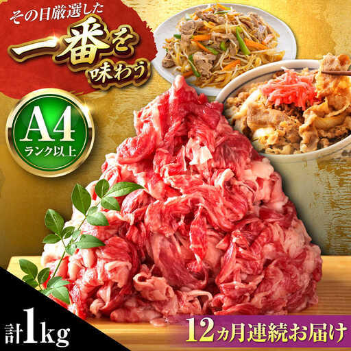 【全12回定期便】博多和牛 切り落とし 1kg(500g×2P)[BGAB103]定期便 おすすめ