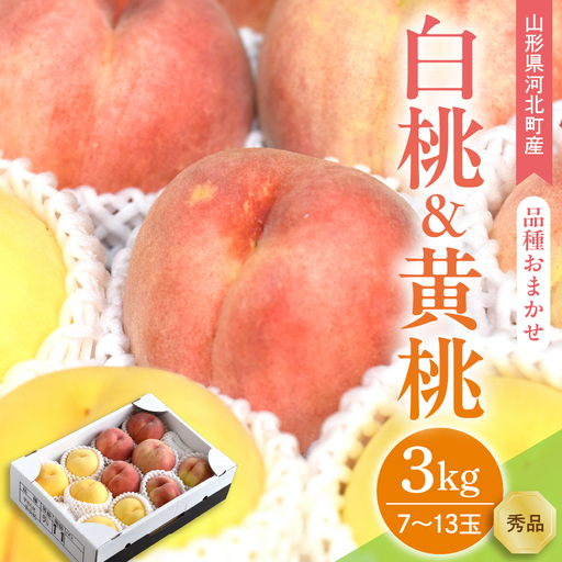 桃 白桃 黄桃 食べ比べ 3kg ギフト用 令和8年産 桃 フルーツ