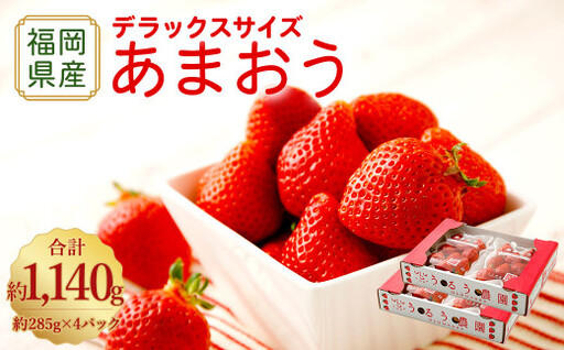 【アフター保証】うるう農園 あまおう DX等級 4パック （約1140g）【2027年2月上旬～2027年4月上旬発送予定】 いちご イチゴ 苺 フルーツ 果物