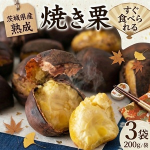 [ 吉原農場 の 完熟栗 ] 熟成 焼き栗 3袋 ( 200g × 3袋 )