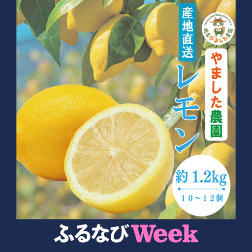 【ふるなびWEEK対象】【2026年10月順次発送】 レモン 1.2kg (10or12個) れもん 檸檬 柑橘 フルーツ 