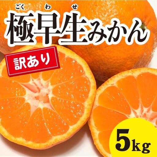 みかん 柑橘【先行受付】【2026年10月中旬以降発送】 甘さと酸味が絶妙！訳あり極早生 みかん 約5kg 三原 佐木島 017064