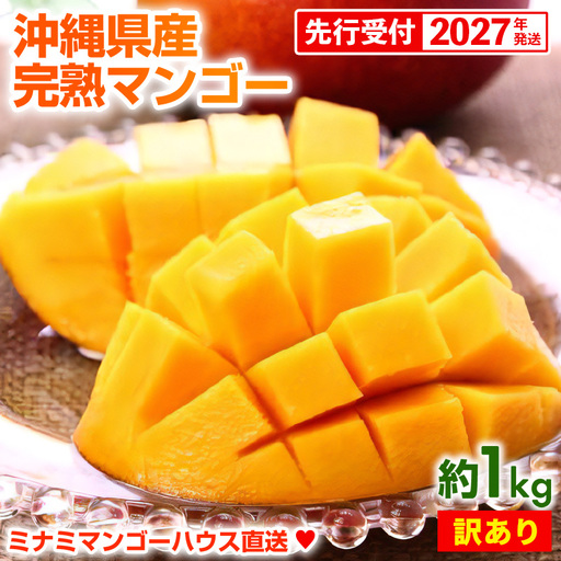 [先行受付][2027年発送]ミナミマンゴーハウスの完熟アップルマンゴー 訳あり 約1kg - 家庭用 先行予約 沖縄県産 産地直送 南国フルーツ 旬の味覚 季節の果物 ご自宅用 訳アリ 沖縄マンゴー 沖縄県 八重瀬町
