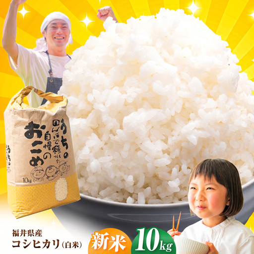 [先行予約 /10月以降配送] [令和8年産]福井県産 こしひかり 米10kg 白米 新米 / 小浜市 / Grow Farm [BFDI002]