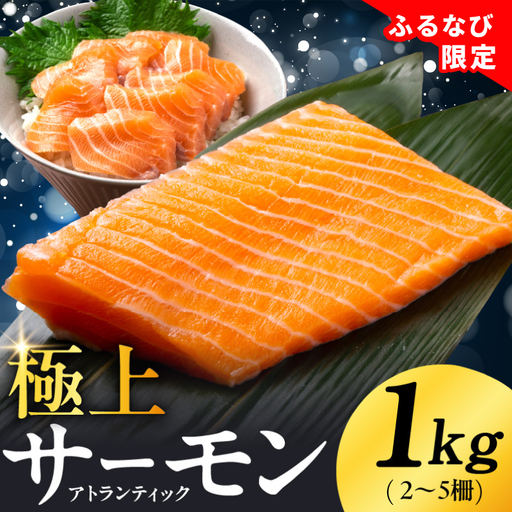 ふるなび限定 極上サーモン 1kg サーモン FN-Limited-PR
