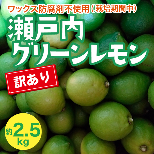 瀬戸内 訳ありグリーンレモン 約2.5kg[栽培期間中防腐剤ワックス不使用][先行受付][2026年10月以降発送]レモン 国産 佐木島 三原 広島 フルーツ 果物 柑橘 柑橘類 檸檬 訳あり 017058