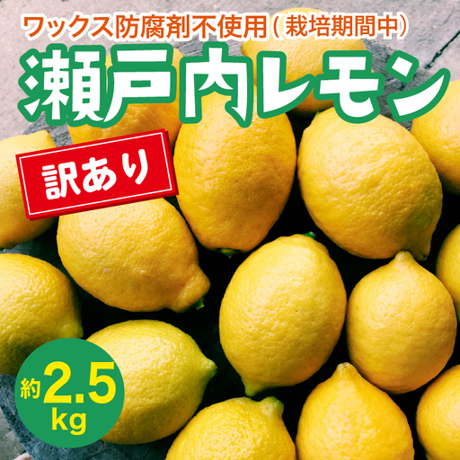 瀬戸内 訳ありレモン 約2.5kg【栽培期間中防腐剤ワックス不使用】【先行受付】【2026年12月以降発送】レモン 国産 佐木島 三原 広島 フルーツ 果物 柑橘 柑橘類 檸檬 訳あり 017059