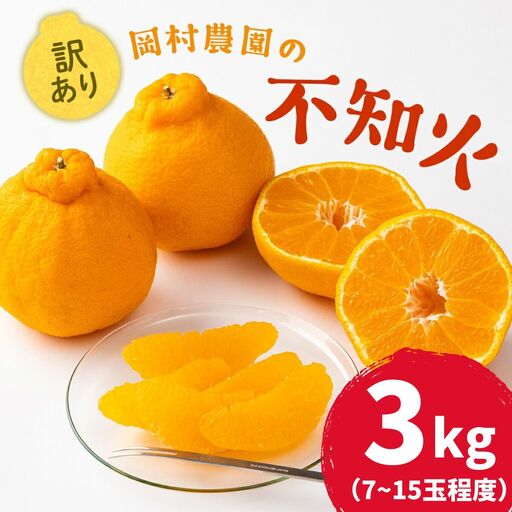 [ 不知火 ]訳あり 不知火 約 3kg