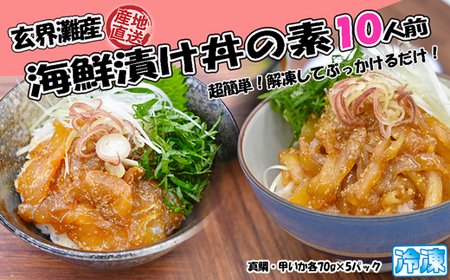 玄界灘産 海鮮漬け丼の素10人前（70g×10P）【真鯛・甲いか 各5人前】★1人前ずつ個包装[H0168]