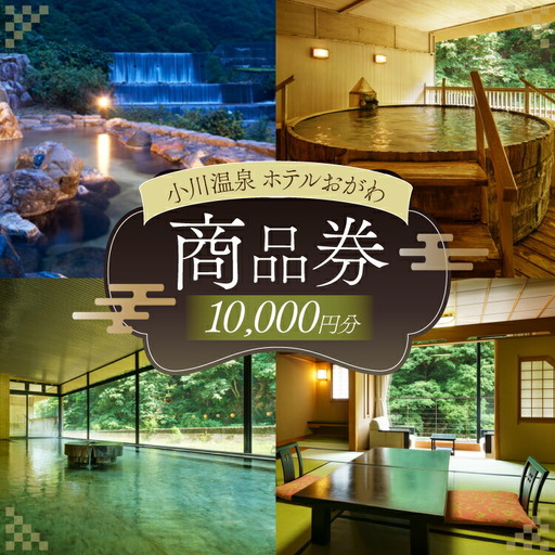商品券 小川温泉 ホテルおがわ 1000円 10枚 計 10000円