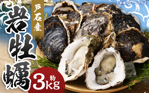 【指定日時必須】戸石産 岩牡蠣 計約3kg（生食用／カキナイフ付き）【2026年5月8日～8月31日迄発送予定】 牡蠣 カキ イワガキ 生牡蠣