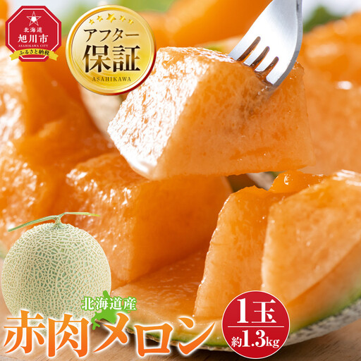 [先行予約]北海道産赤肉メロン1.3kg×1玉 (2026年7月中旬から発送開始) | メロン _05228