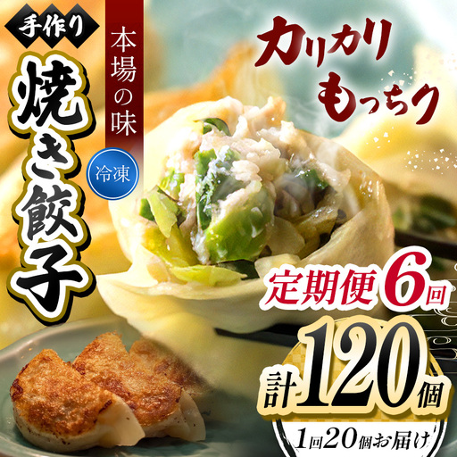 6回 定期便  手作り 焼き餃子  ( 冷凍 )  20個 【 手作り餃子の店 吉春 】 |  冷凍餃子 地元野菜 ・ 国産素材 を使用 