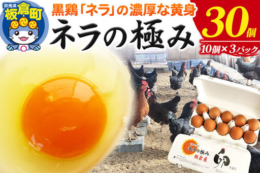 ネラの極み 卵 たまご 30個（10個×3パック）