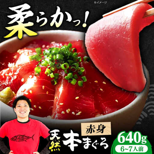 たね熟天然本まぐろ赤身(640g)[AOCE005]まぐろ