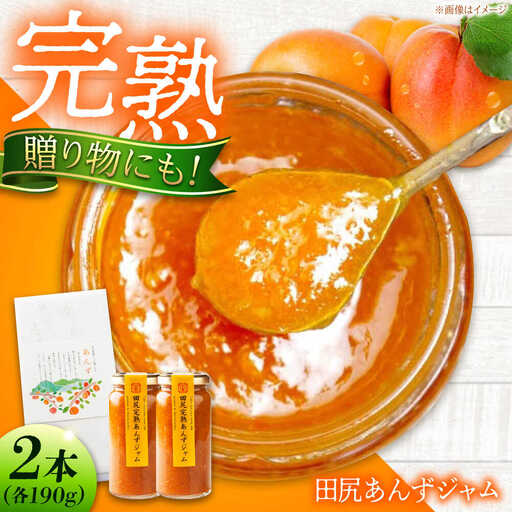 田尻完熟あんずジャム (2本)[BAFL011]ジャム