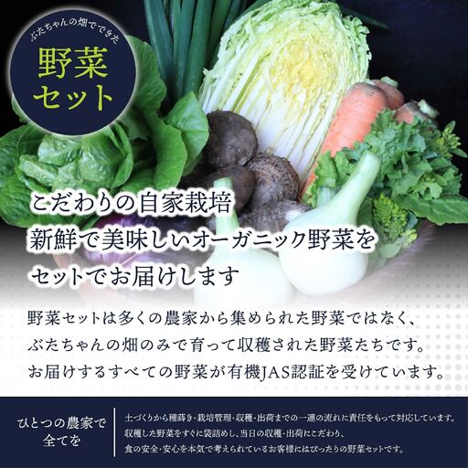 有機JAS認証 旬の野菜セット 8品[ぶたちゃんの畑]