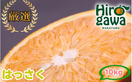 はっさく 10kg+250g（痛み補償分） 厳選 光センサー / 八朔 高級 甘い 和歌山 有田 柑橘 ※1月上旬〜4月下旬頃に順次発送予定 ※北海道・沖縄・離島への配送不可 【ikd021-p-10D】