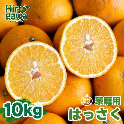 はっさく 10kg+250g（痛み補償分） 家庭用 光センサー / 八朔 訳あり 甘い 和歌山 有田 柑橘 ※1月上旬〜4月下旬頃に順次発送予定 ※北海道・沖縄・離島への配送不可 【ikd021-c-10B】