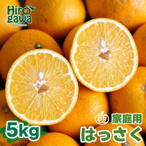 はっさく 5kg+250g（痛み補償分） 家庭用 光センサー / 八朔 訳あり 甘い 和歌山 有田 柑橘 ※1月上旬〜4月下旬頃に順次発送予定 ※北海道・沖縄・離島への配送不可 【ikd021-c-5C】