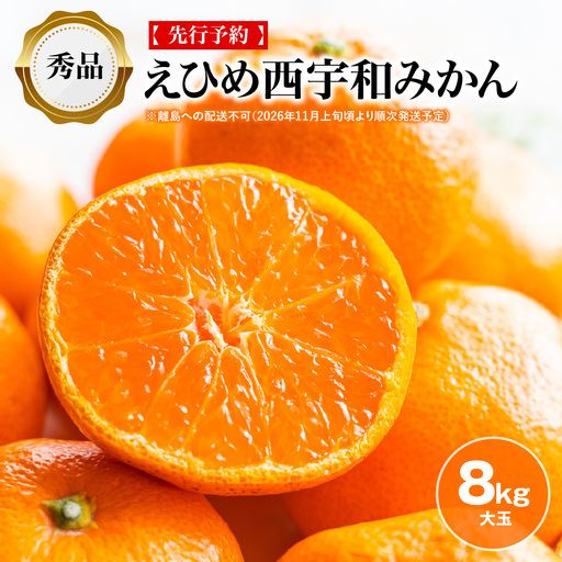 [先行予約][秀品]えひめ西宇和みかん 8kg(大玉)※離島への配送不可(2026年11月上旬頃より順次発送予定) IK