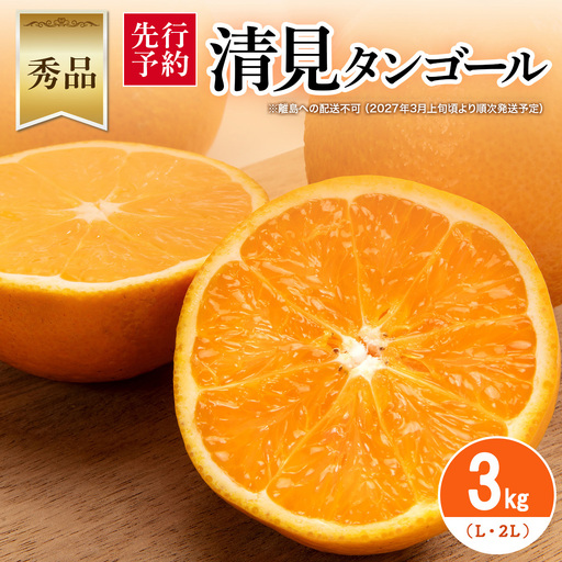 【先行予約】【秀品】清見タンゴール 3kg（L・2L）※離島への配送不可 （2027年3月上旬頃より順次発送予定） IKTAR011